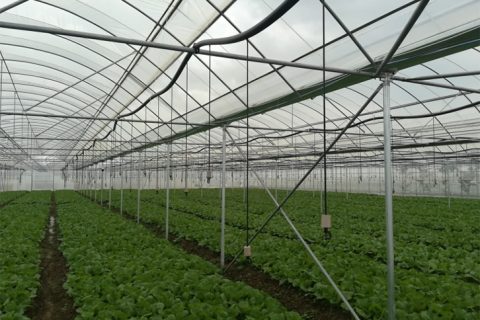 云南大理祥云智慧農業現代示范園