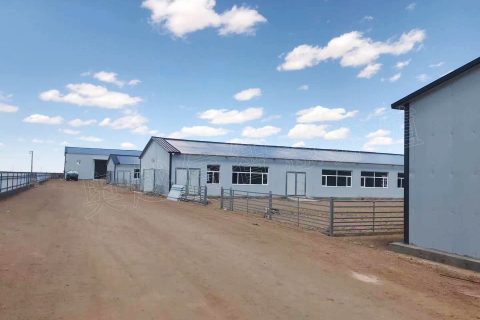 乌拉特中旗蒙原隔壁短尾羊智慧产业园项目