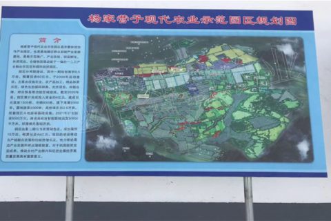 翁牛特旗楊家營子現代農業示范園區